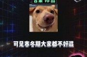 娱乐八卦吃瓜图片,吃瓜群众视角下的明星幕后故事